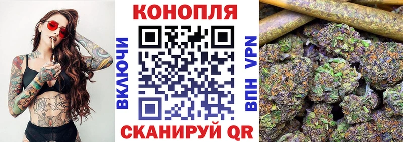Бошки марихуана гибрид  omg   Бугуруслан  где купить наркоту 